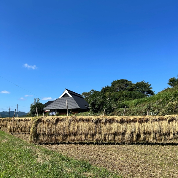 稲刈り後の農村風景です